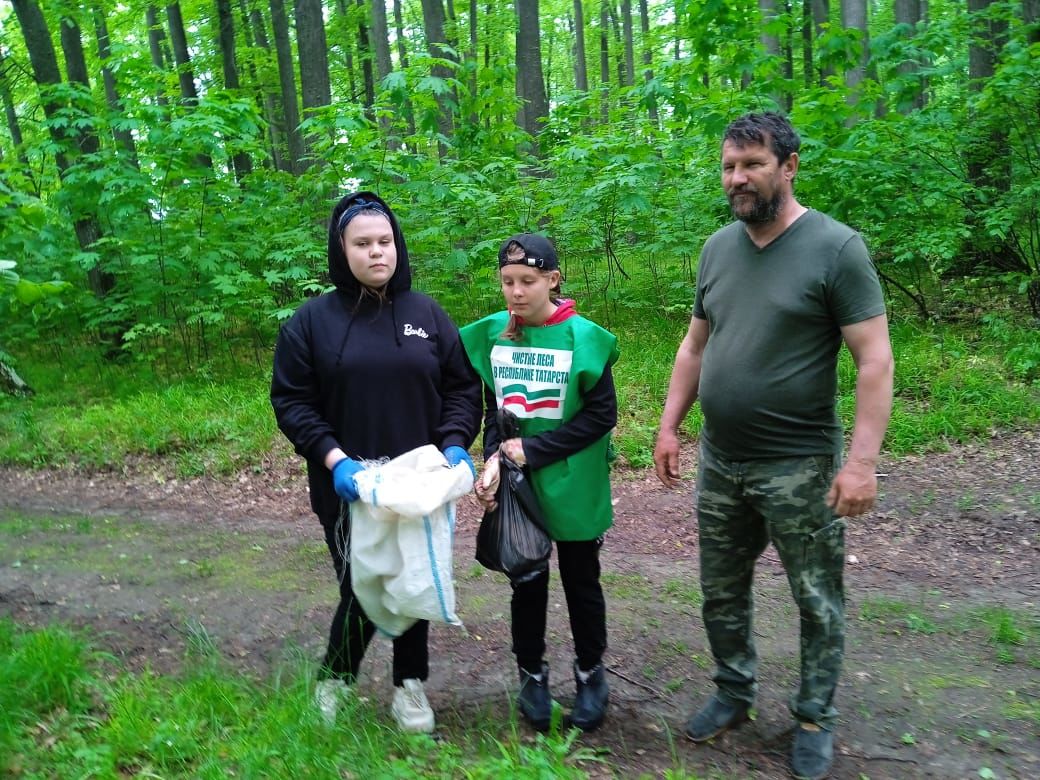 Лаишевское лесничество участвует в акции "Чистые леса Татарстана"