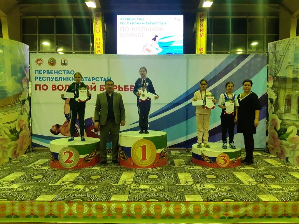 Хорошие новости. В Елабуге на первенстве Татарстана  по вольной борьбе лаишевские спортсмены завоевали две медали