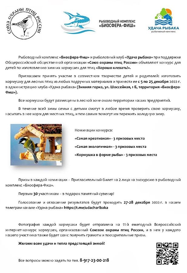 Кирбинских школьников отметили сертификатом за оригинальные кормушки