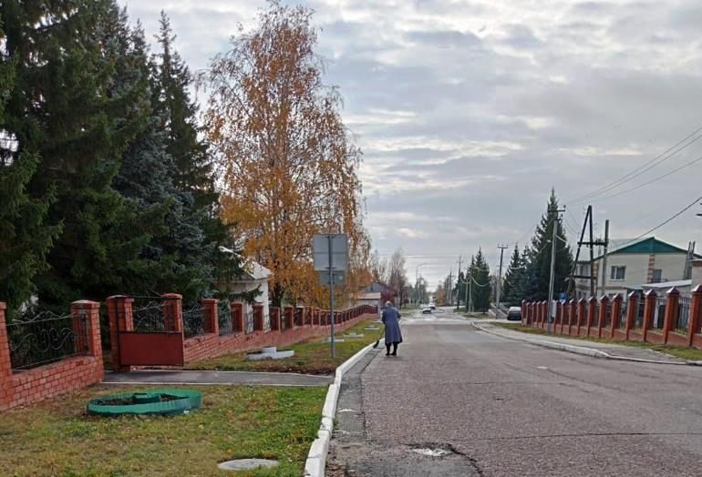Жители Лаишева вышли на уборку городских улиц