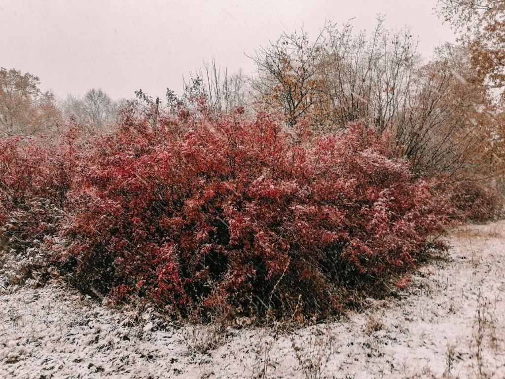 «Зимняя осень» — так назвала свою подборку фотографий Наталья Андреяшина
