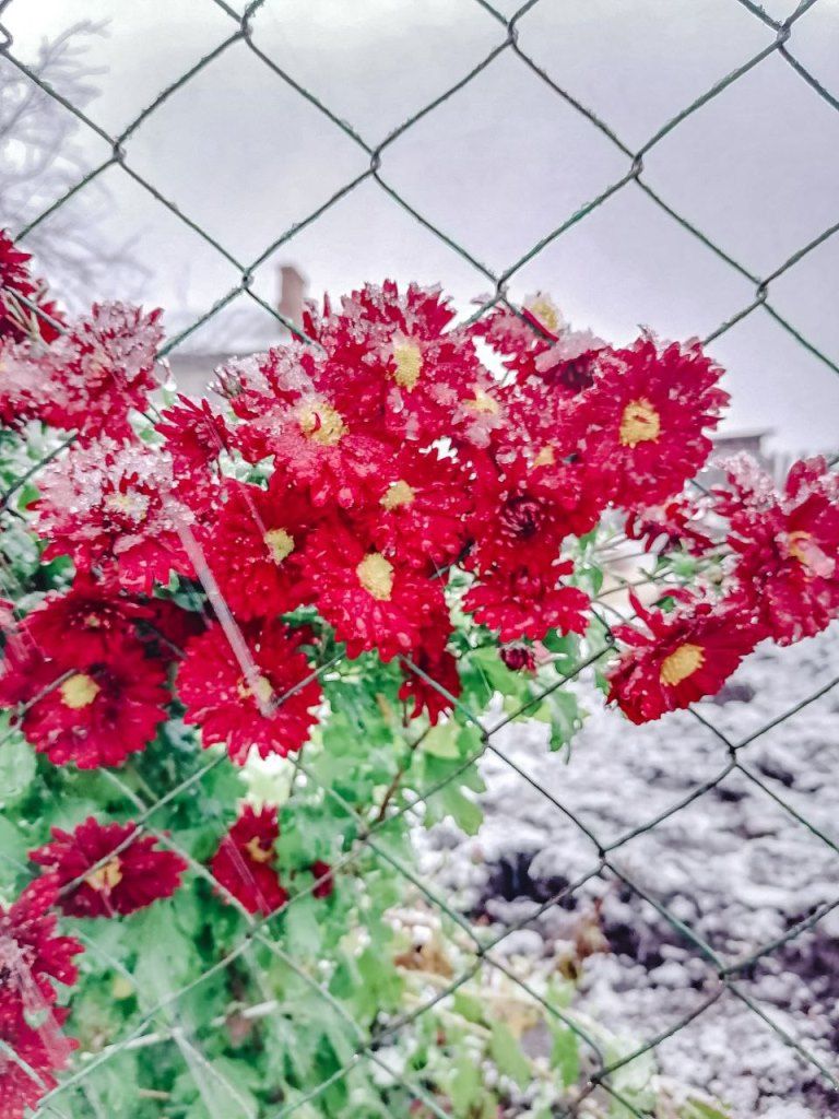 «Зимняя осень» — так назвала свою подборку фотографий Наталья Андреяшина