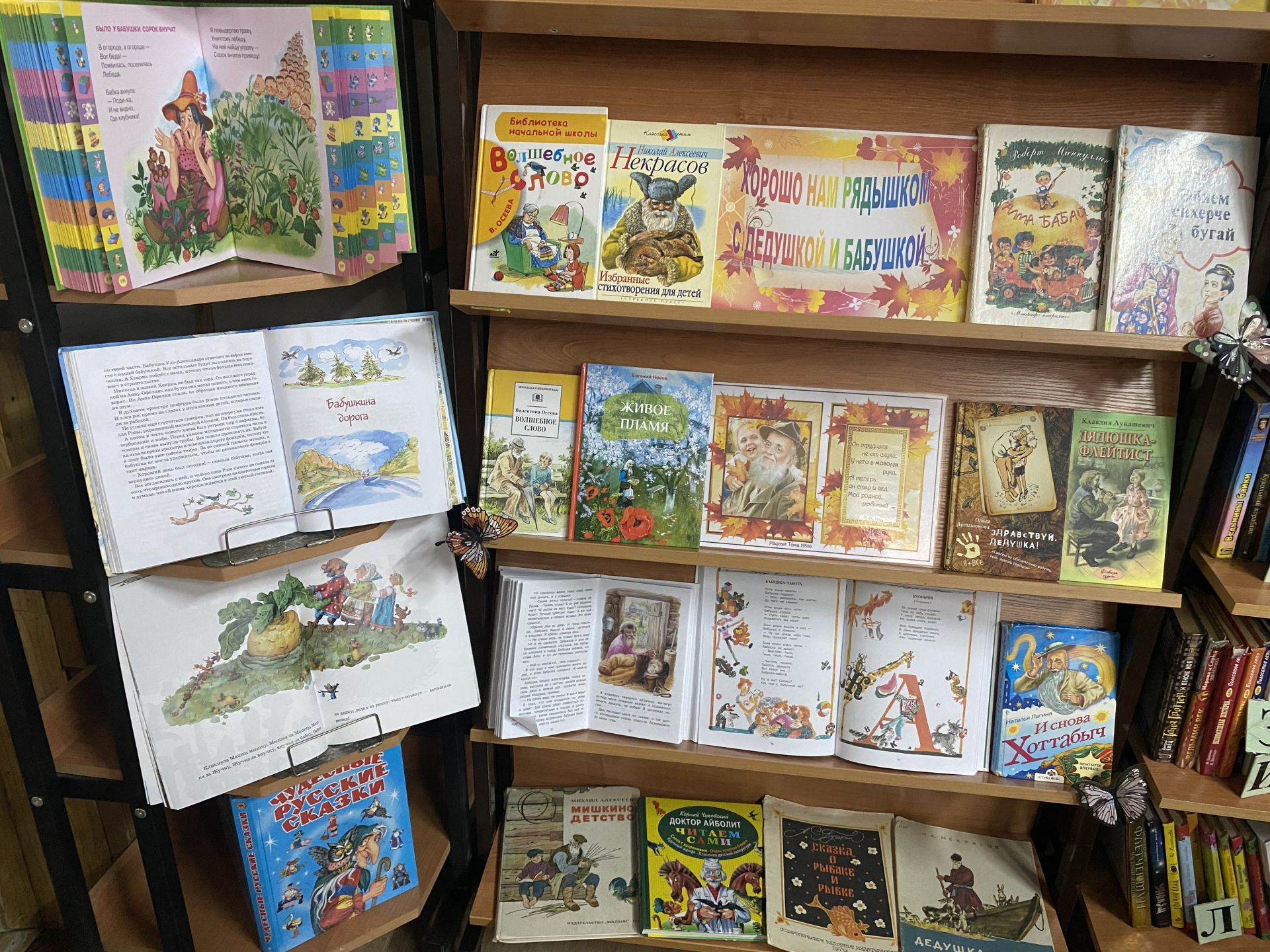 В Центральной детской библиотеке Лаишева оформлена выставка-праздник «Золотая осень жизни»