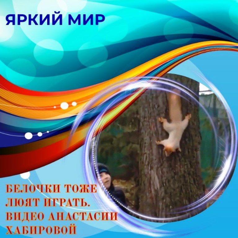Белочки тоже любят поиграть