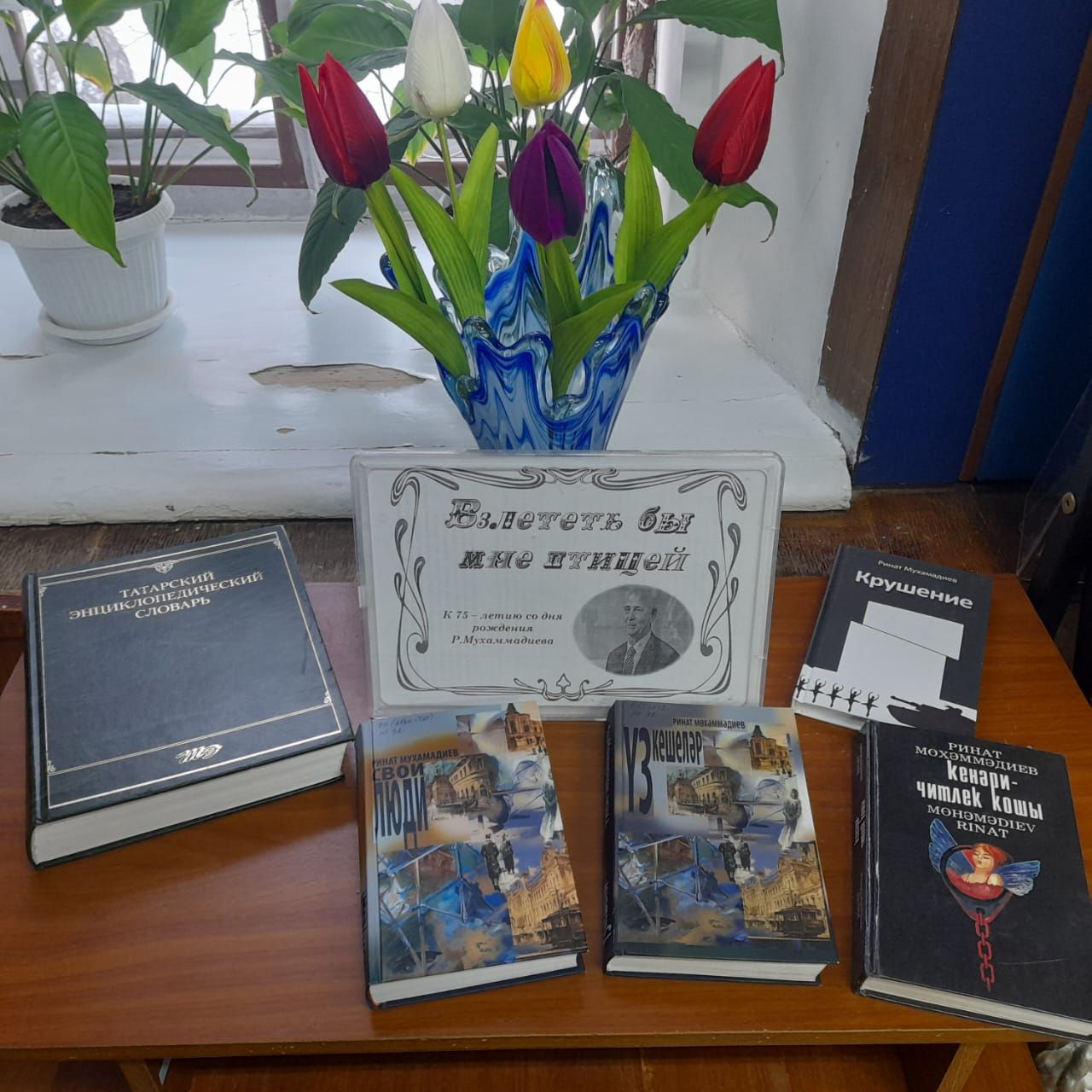 В центральной библиотеке г.Лаишево организована новая выставка книг