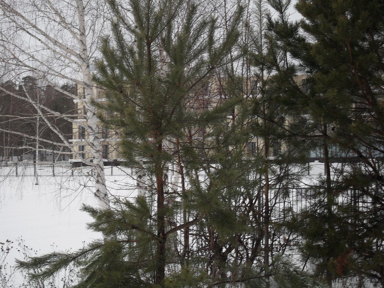 В пятницу в Лаишевском районе осадков не ожидается, но возможен сильный ветер