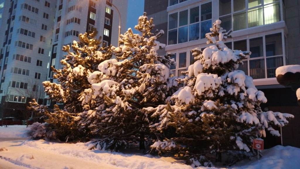 «Предновогодняя сказка» — так назвал серию фотографий Андрей Кодылев