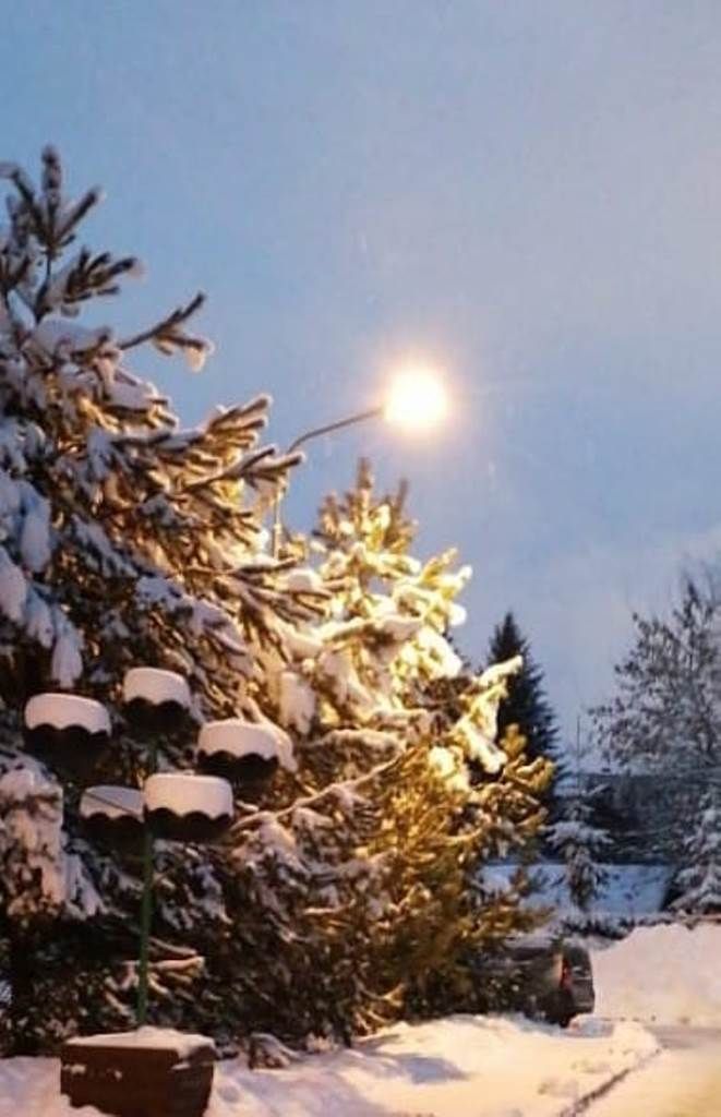 «Предновогодняя сказка» — так назвал серию фотографий Андрей Кодылев