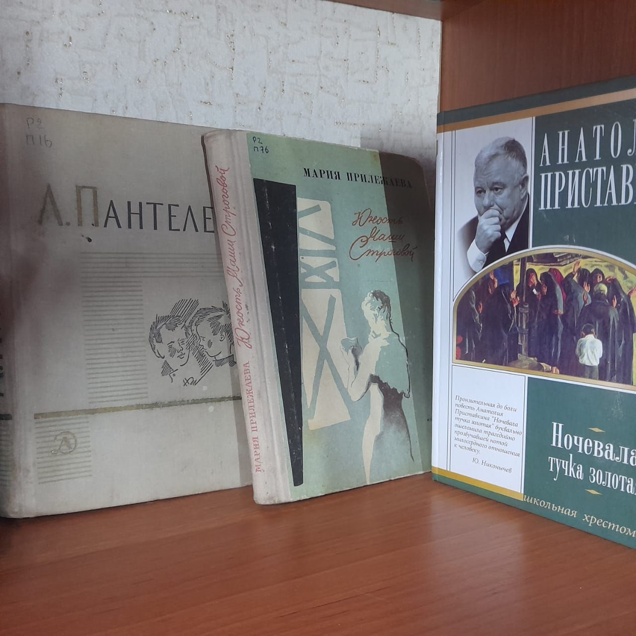В Лаишевской библиотеке оформлена книжная выставка «Быть учителем – призванье»