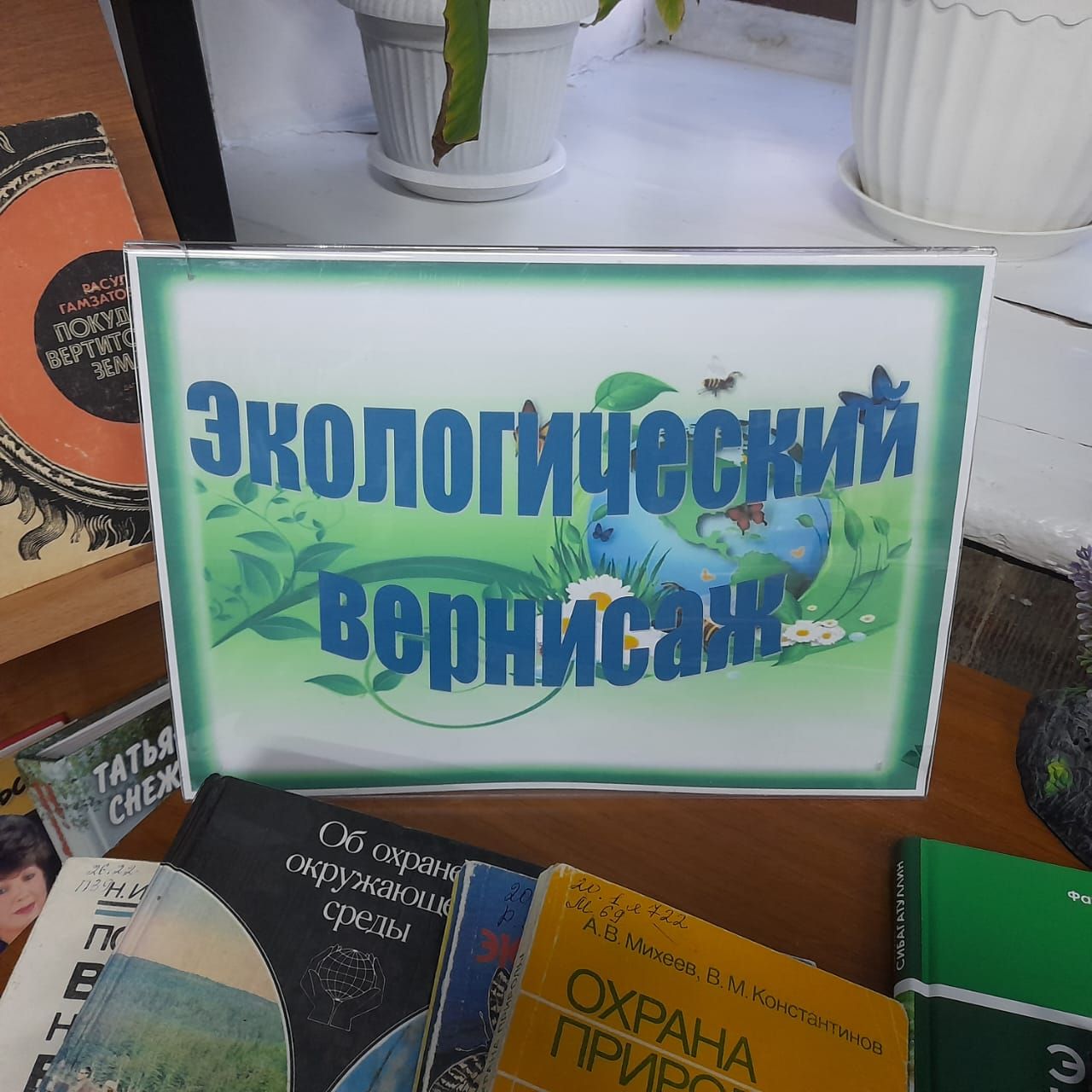 В центральной библиотеке Лаишева организована викторина «Экологический вернисаж»
