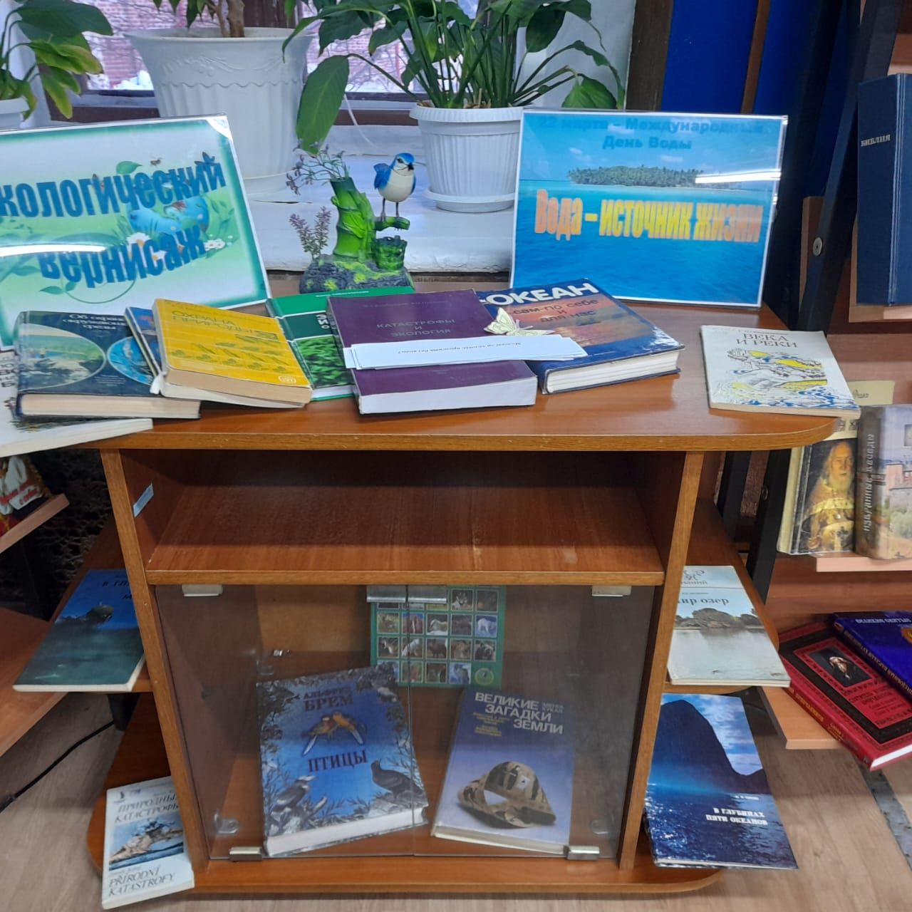 В центральной библиотеке Лаишева организована викторина «Экологический вернисаж»