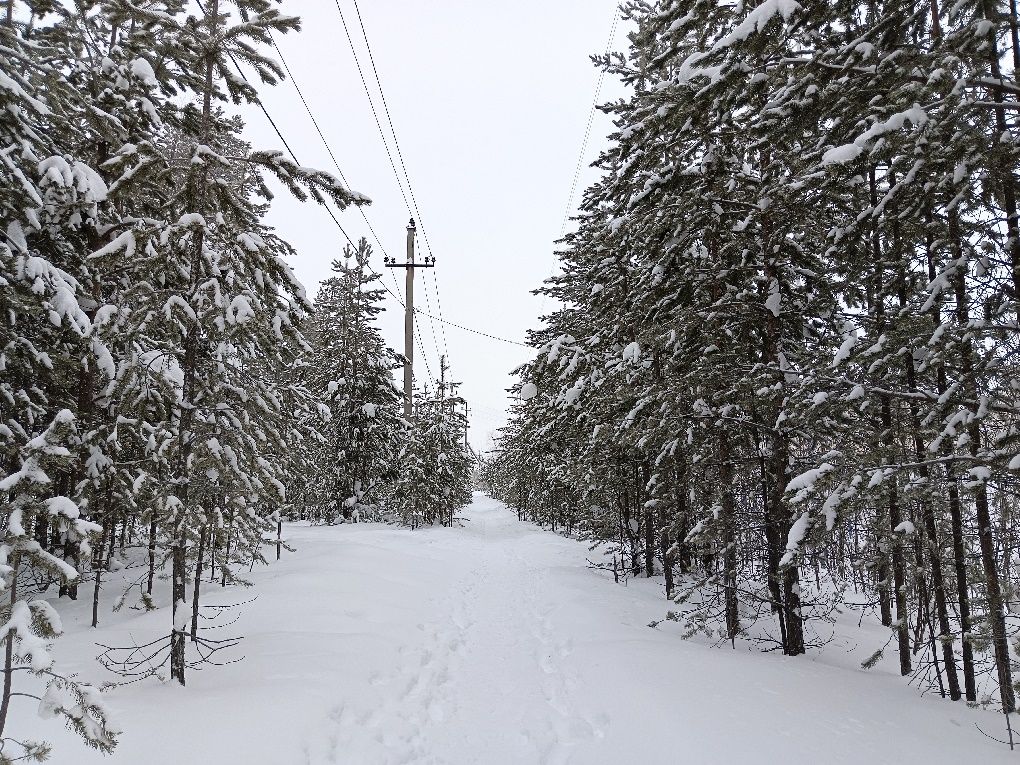 Городской парк, тишина, снег