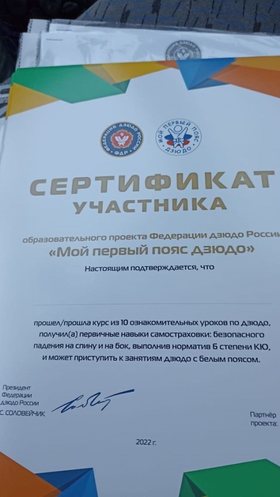 В Сокуровской средней школе реализуется проект Федерации дзюдо России для младших школьников «Мой первый пояс дзюдо»