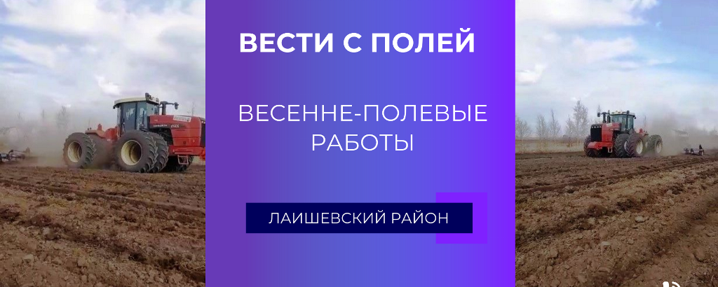 На полях Лаишевского района