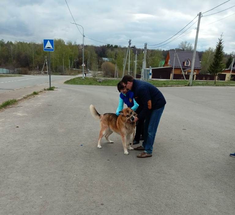 В Лаишевском районе идет вакцинация домашних питомцев