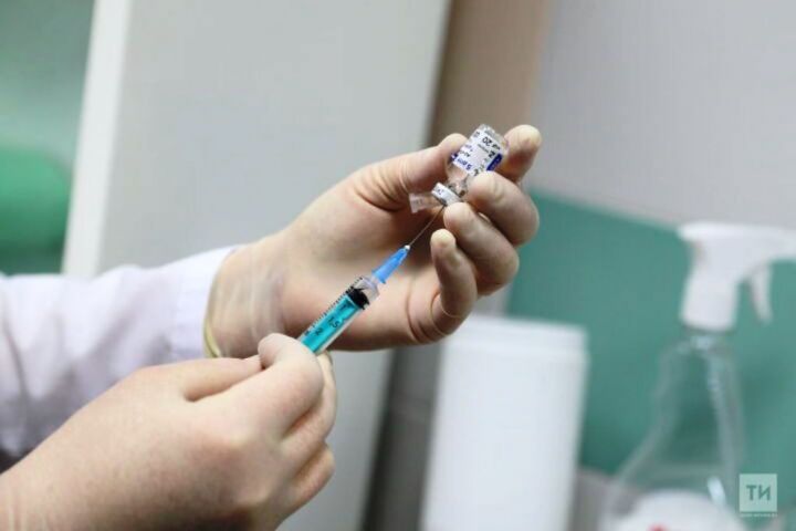 Лаеш районында кызамыктан чистартучы иммунизация башланачак