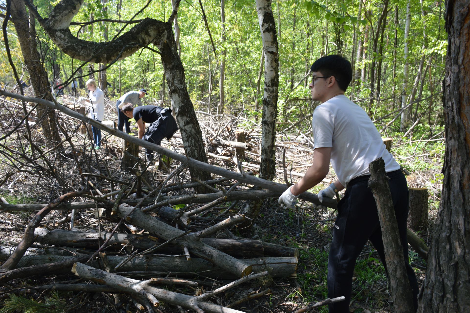 Акция «Чистые леса Татарстана» прошла на территории Столбищенского лесничества