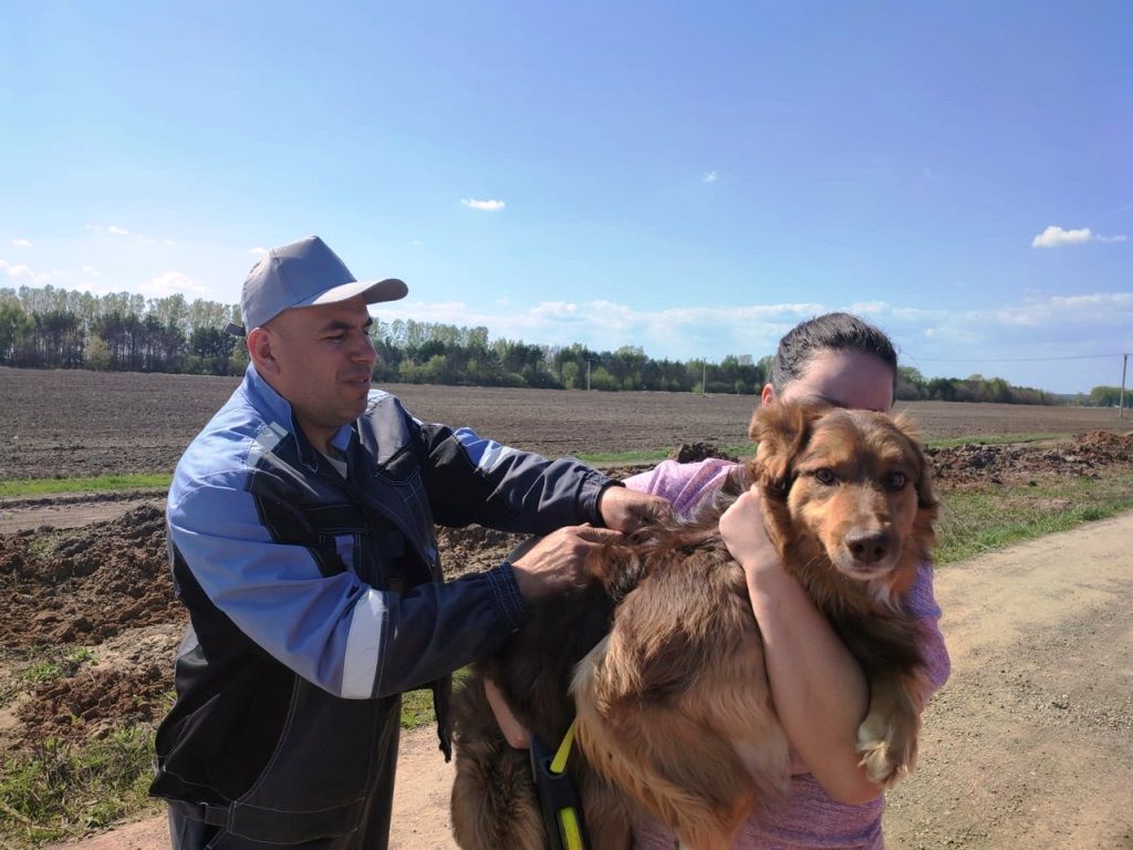 В Лаишевском районе продолжается вакцинация домашних животных против бешенства