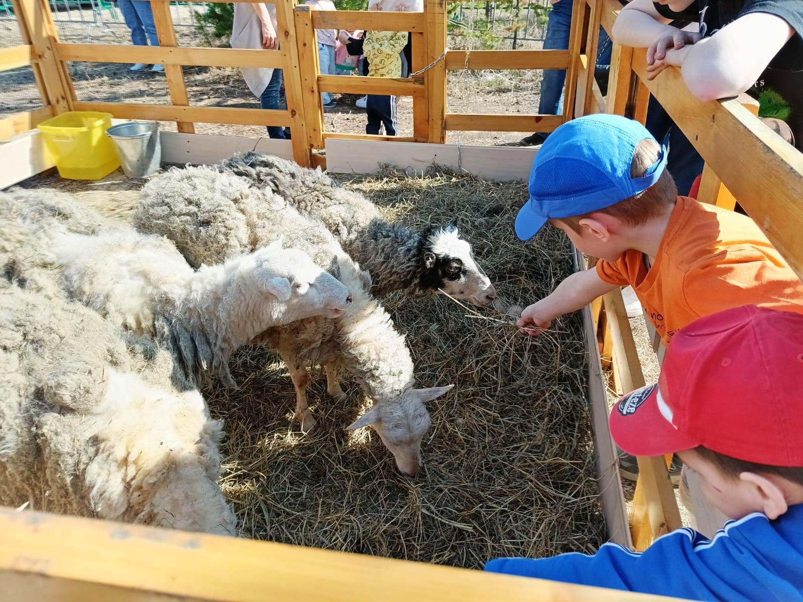 Торты в губкинском янао