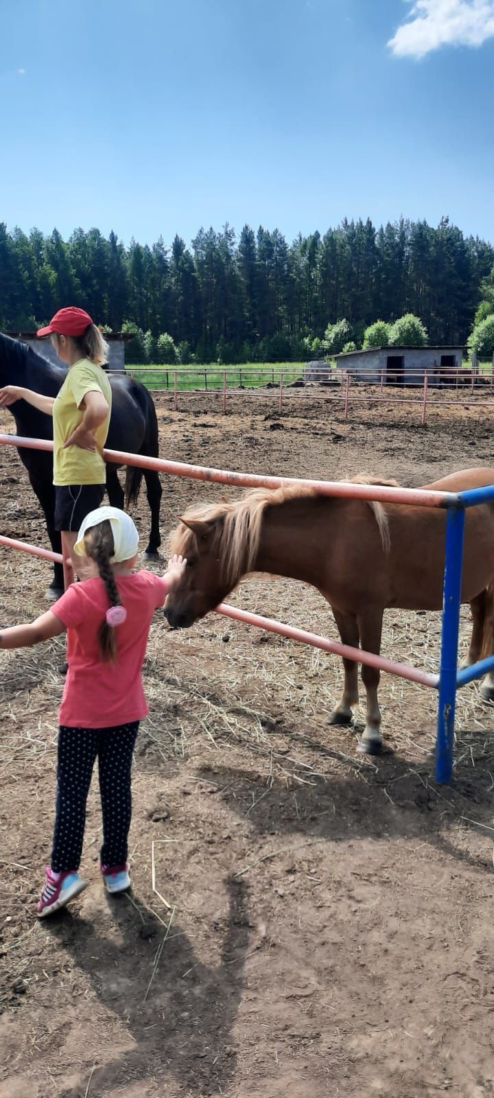 Лаешта иппотерапия дәресләре ничек үткәрелүен сөйлибез