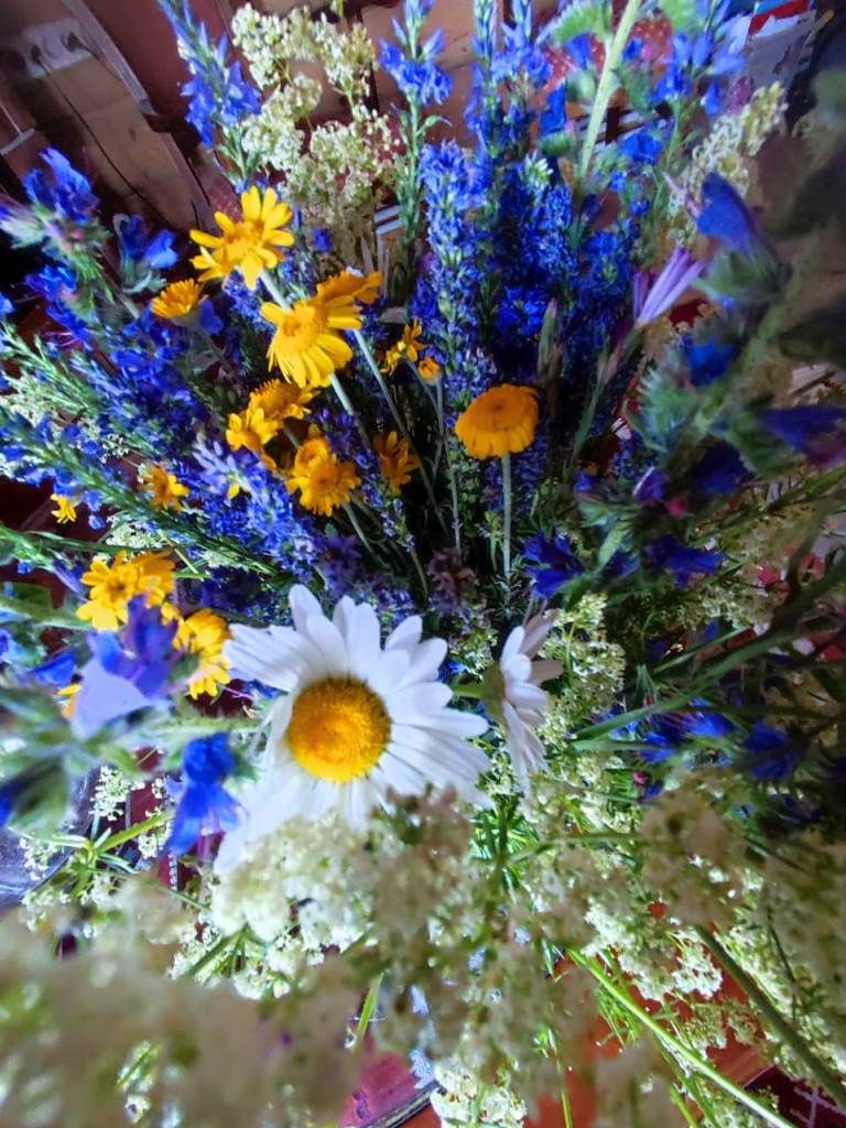 Утром нежные цветы красками рисуют день... Онлайн-фотогалерея «Яркий мир»