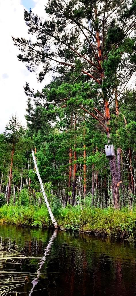 Озеро-сказка Большой Чуркан представлена в фотоработах Руслана Сагдиева. Онлайн-фотогалерея «Яркий мир»