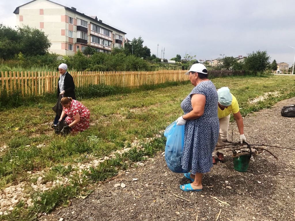 Мәгариф хезмәткәрләре оешмаларга якын территорияләрне җыештыралар
