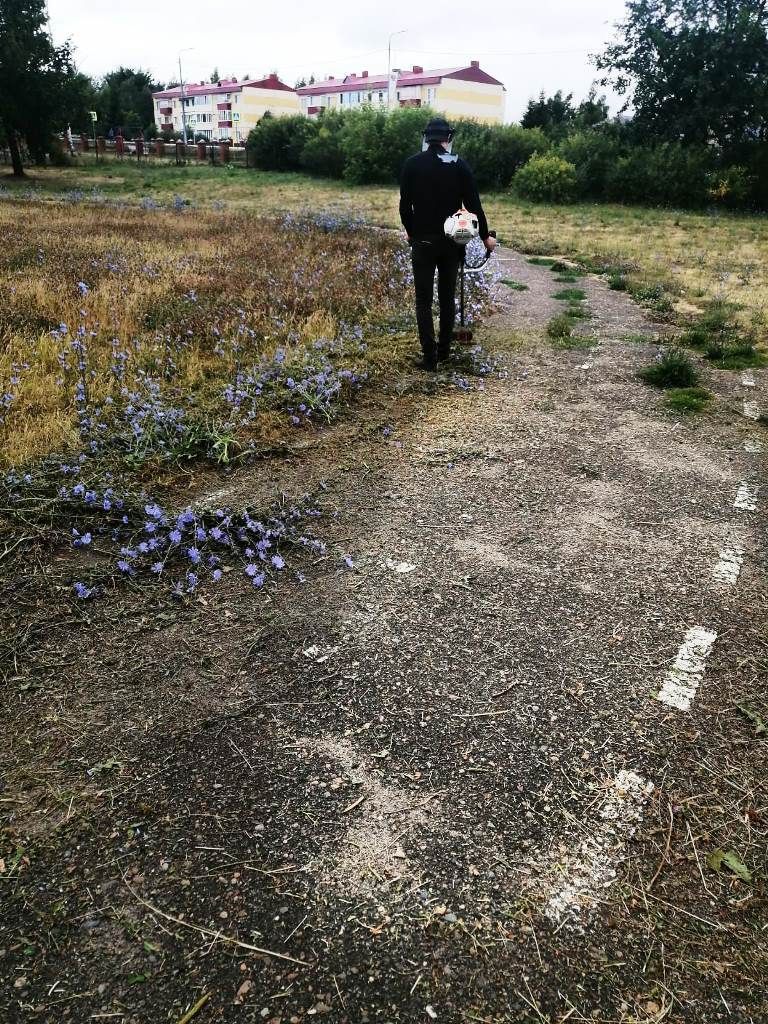 Мәгариф хезмәткәрләре оешмаларга якын территорияләрне җыештыралар