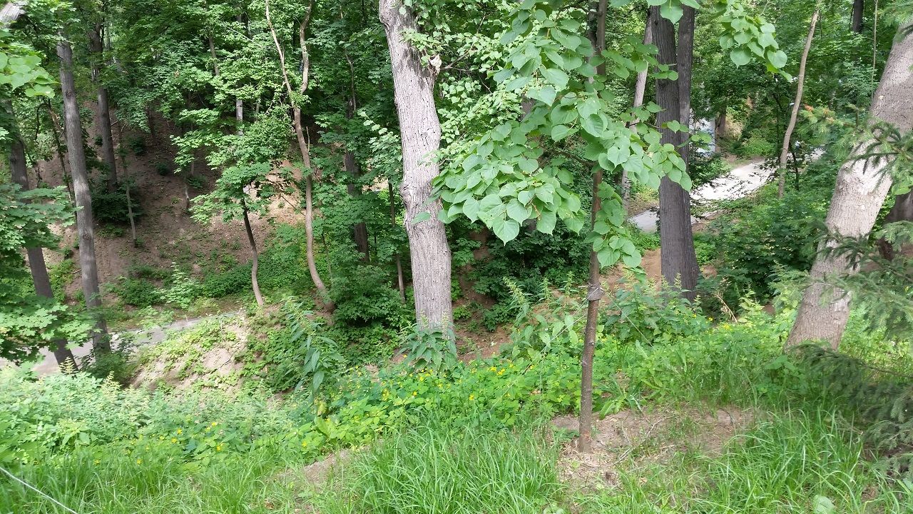 В воскресенье жителей Лаишевского района ждет приятная, но не жаркая погода