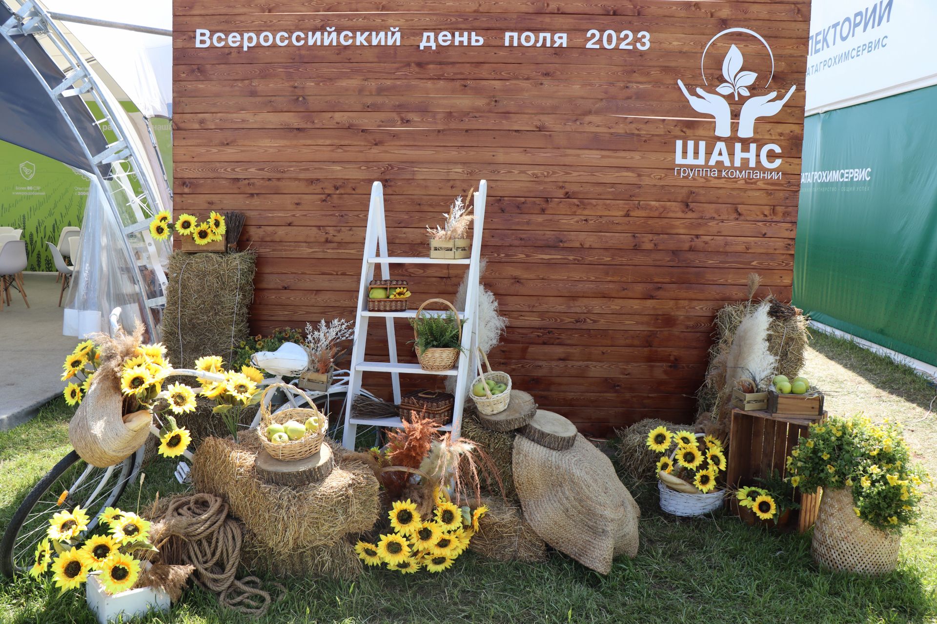 В Лаишевском районе идет Всероссийский День поля