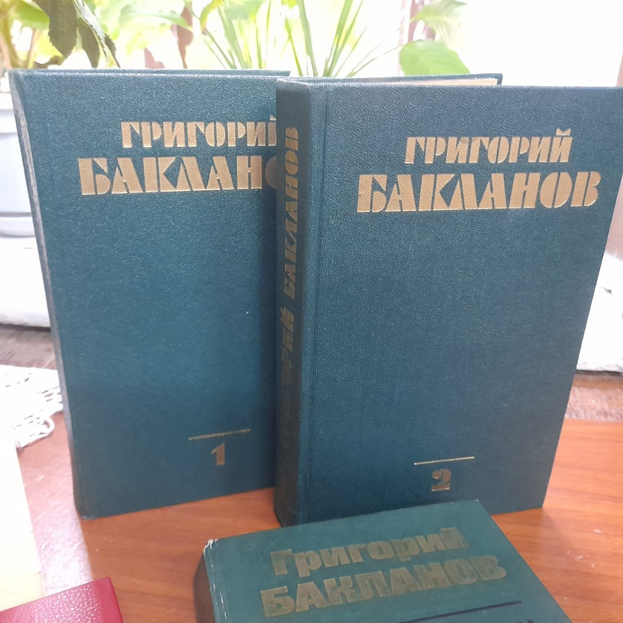 Лаишевских читателей знакомят с творчеством Григория Бакланова