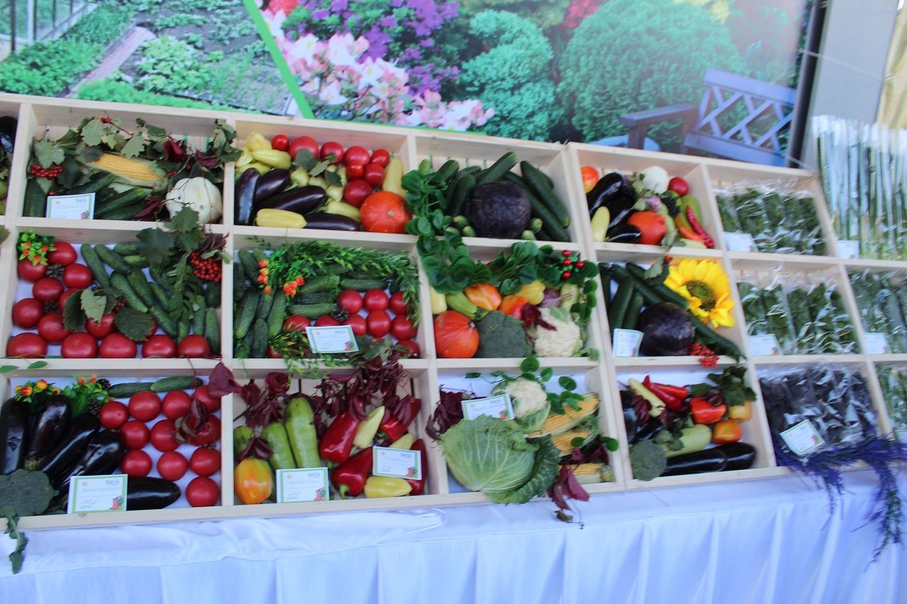 Лаишевские аграрии представили свою продукцию на «Дне садовода-2023»
