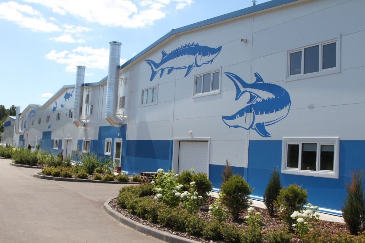 В Лаишевском районе, на территории комплекса «Биосфера-Фиш» появится парк-отель