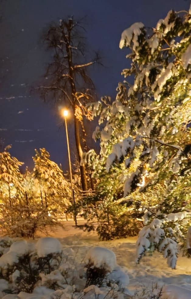 Наталья Карпенко показала красоту зимнего вечера