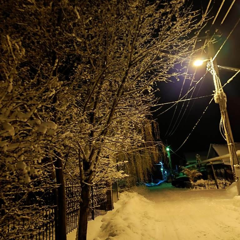 Владимир Андреев: Новый год простой снежинкой светом делится со мной