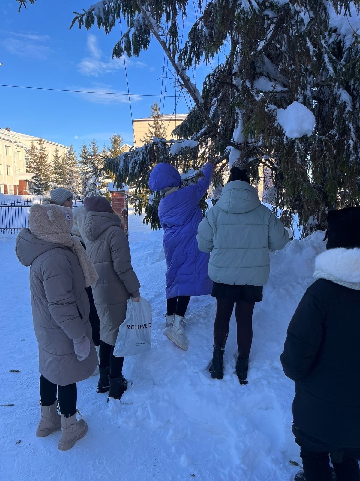 Учащиеся Лаишевской школы № 2 приняли участие в акции «Покорми птиц зимой»