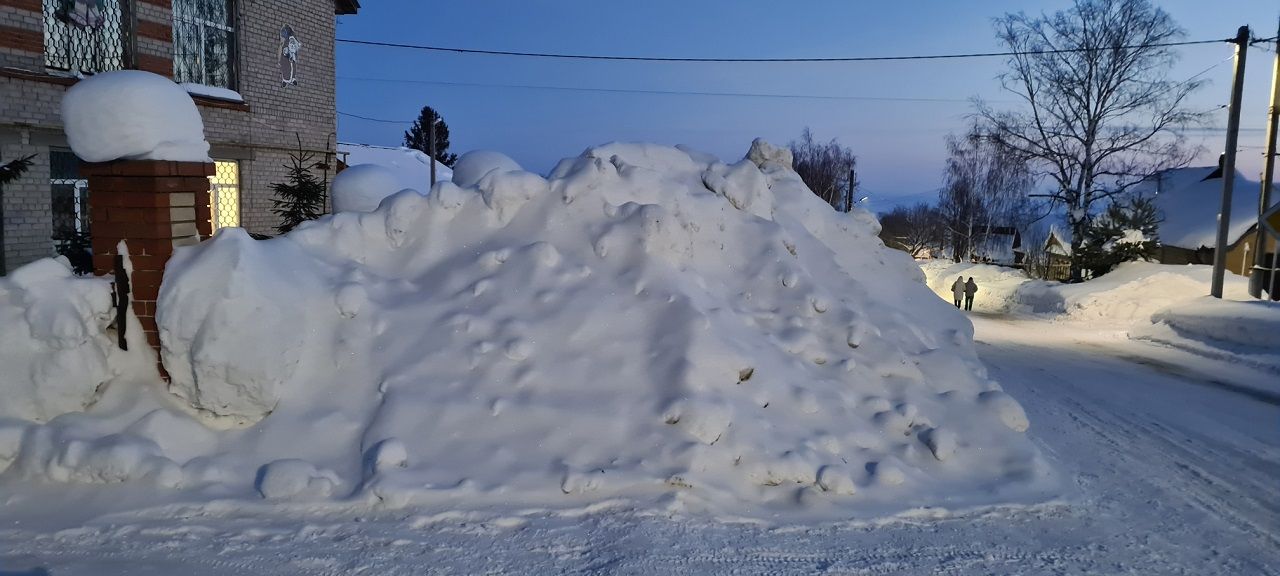 В Лаишевском районе следующей ночью может похолодать до минус 33 градусов