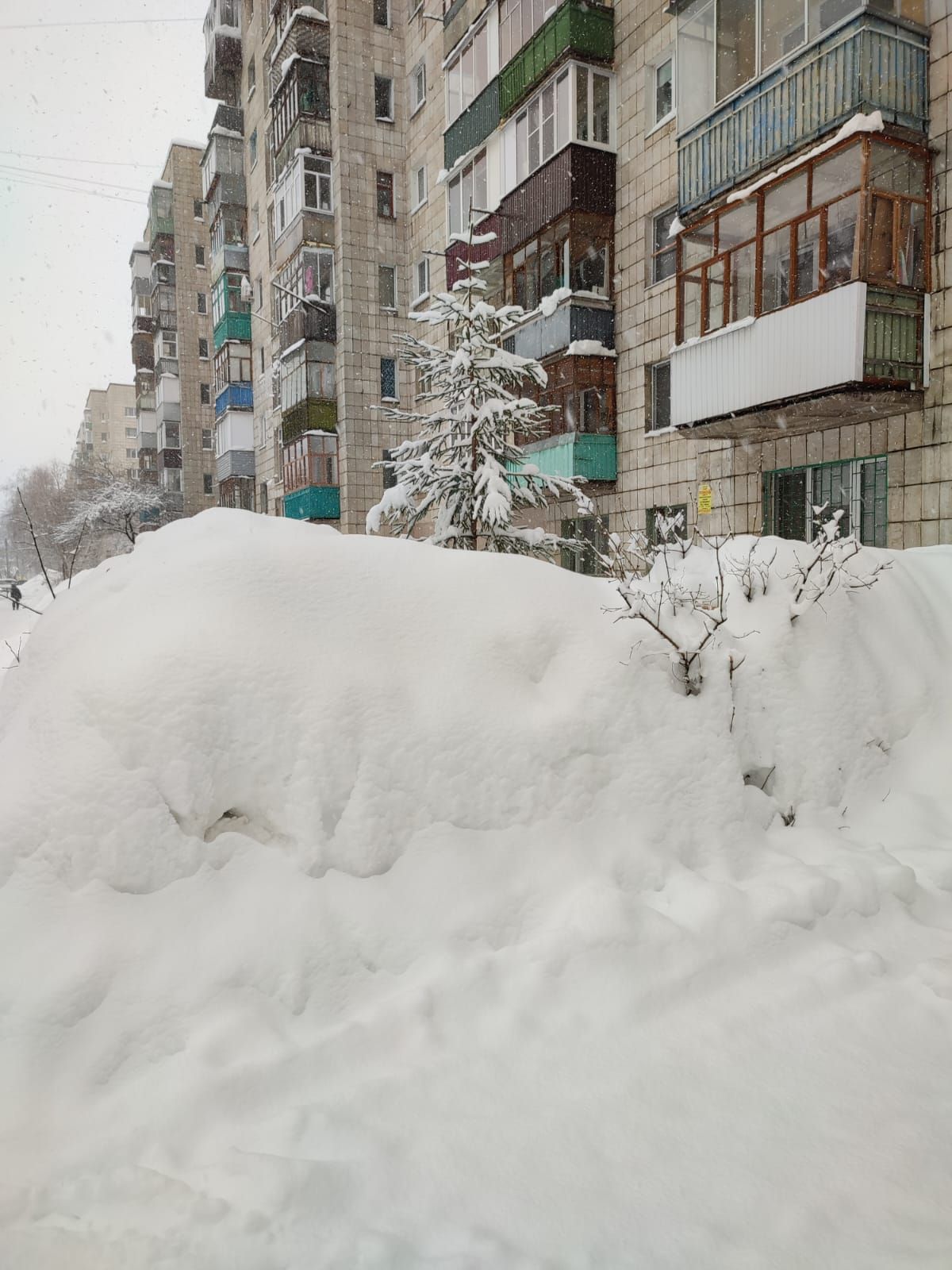 О погоде на завтра, 18 февраля