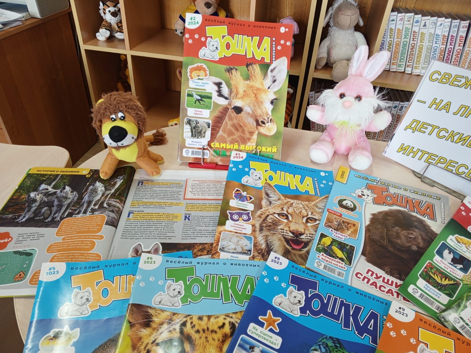 Лаишевская библиотека знакомит с периодическими детскими журналами.