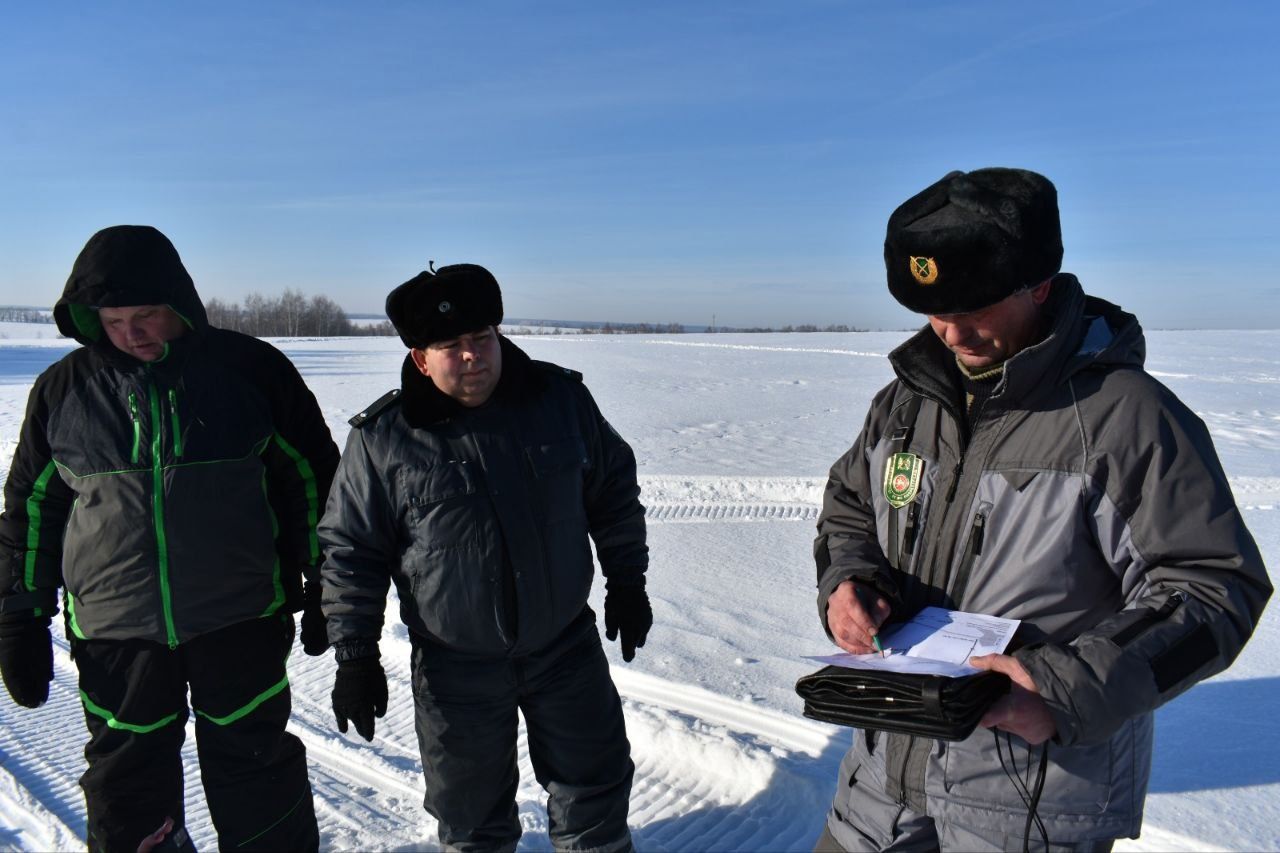 В Лаишевском районе отмечены следы лося, кабана, лисы и зайца