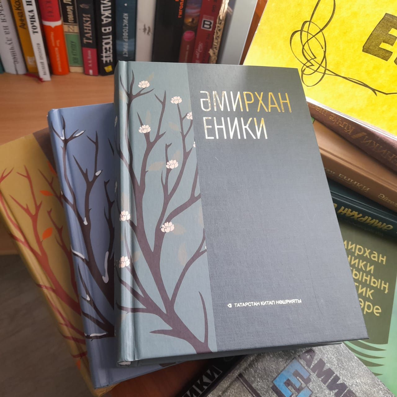 Лаишевских читателей знакомят с творчеством Амирхана Еники