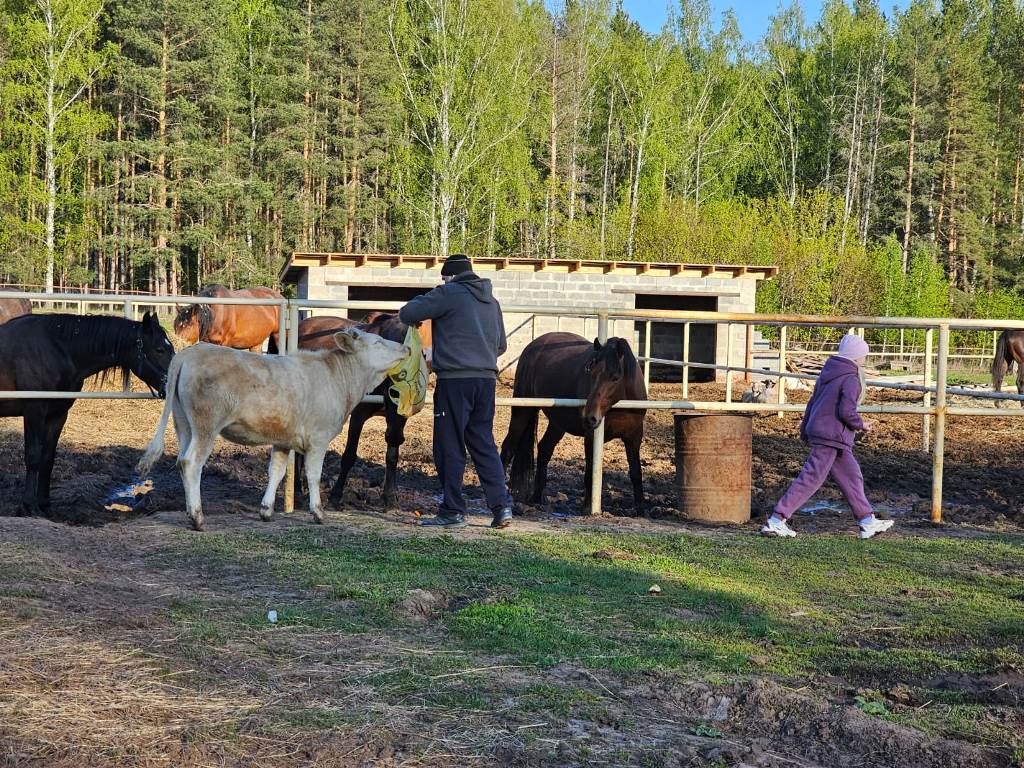 Конкурс «Наша дружная семья». Представляем семью Скворцовых из Лаишева