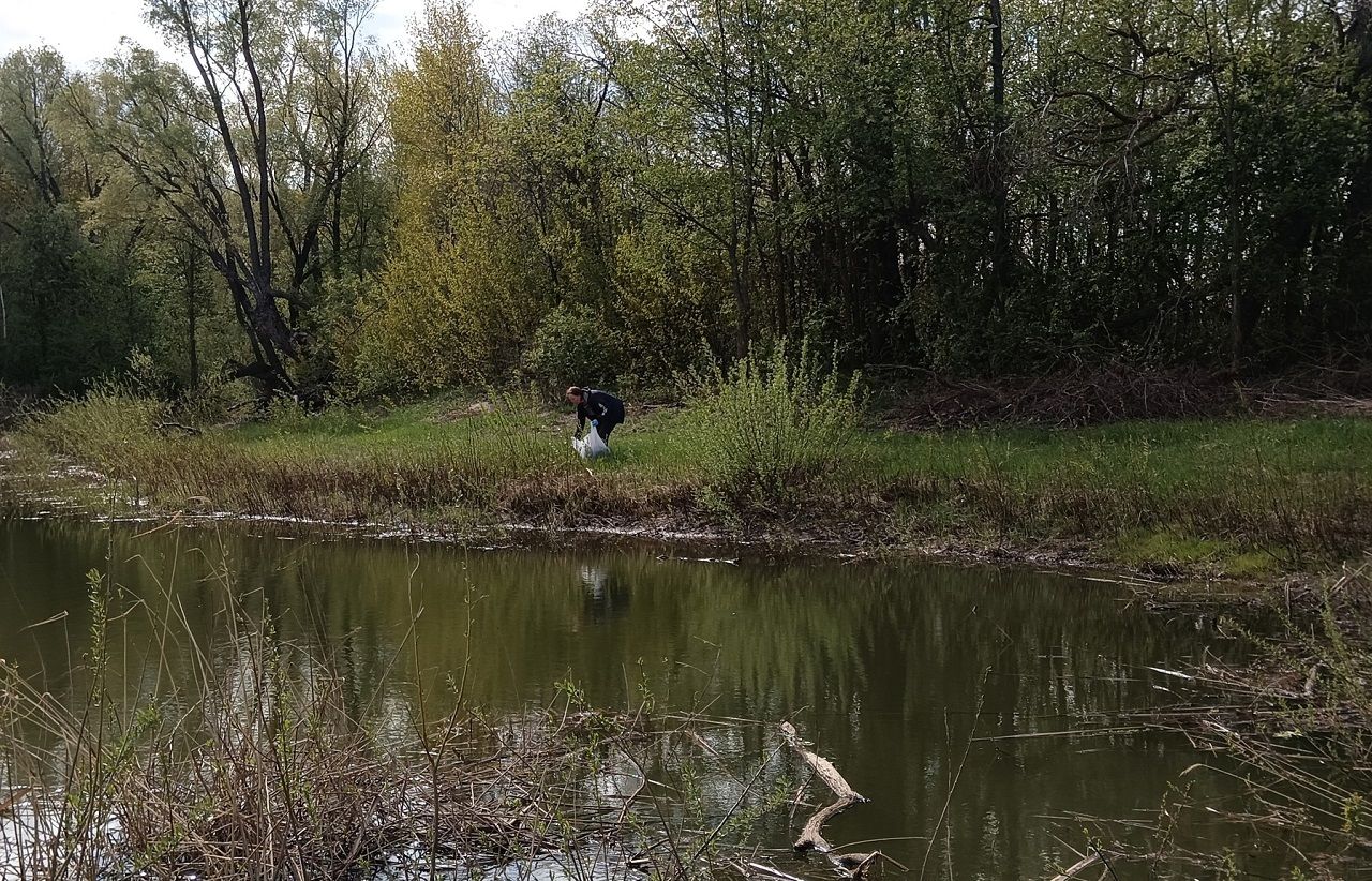 Сотрудники детского сада в Лаишевском районе очистили берег озера от мусора