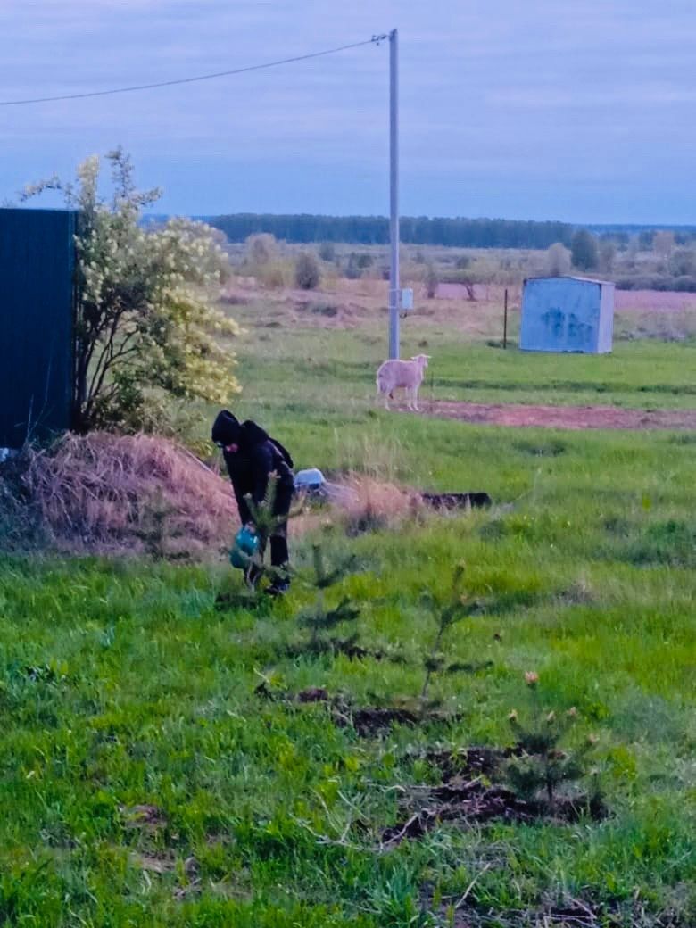 В Лаишевском районе продолжаются субботники