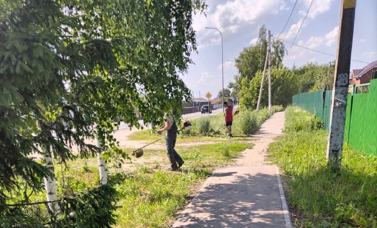 В Лаишевском районе скашивают траву вдоль дорог