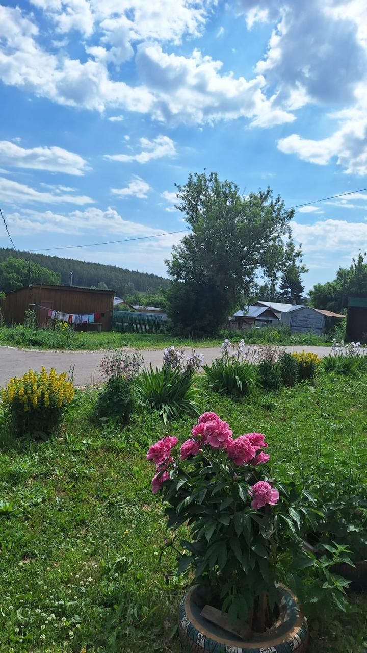 В конкурсе «Цветы у дома» участвует Надежда Вершинина