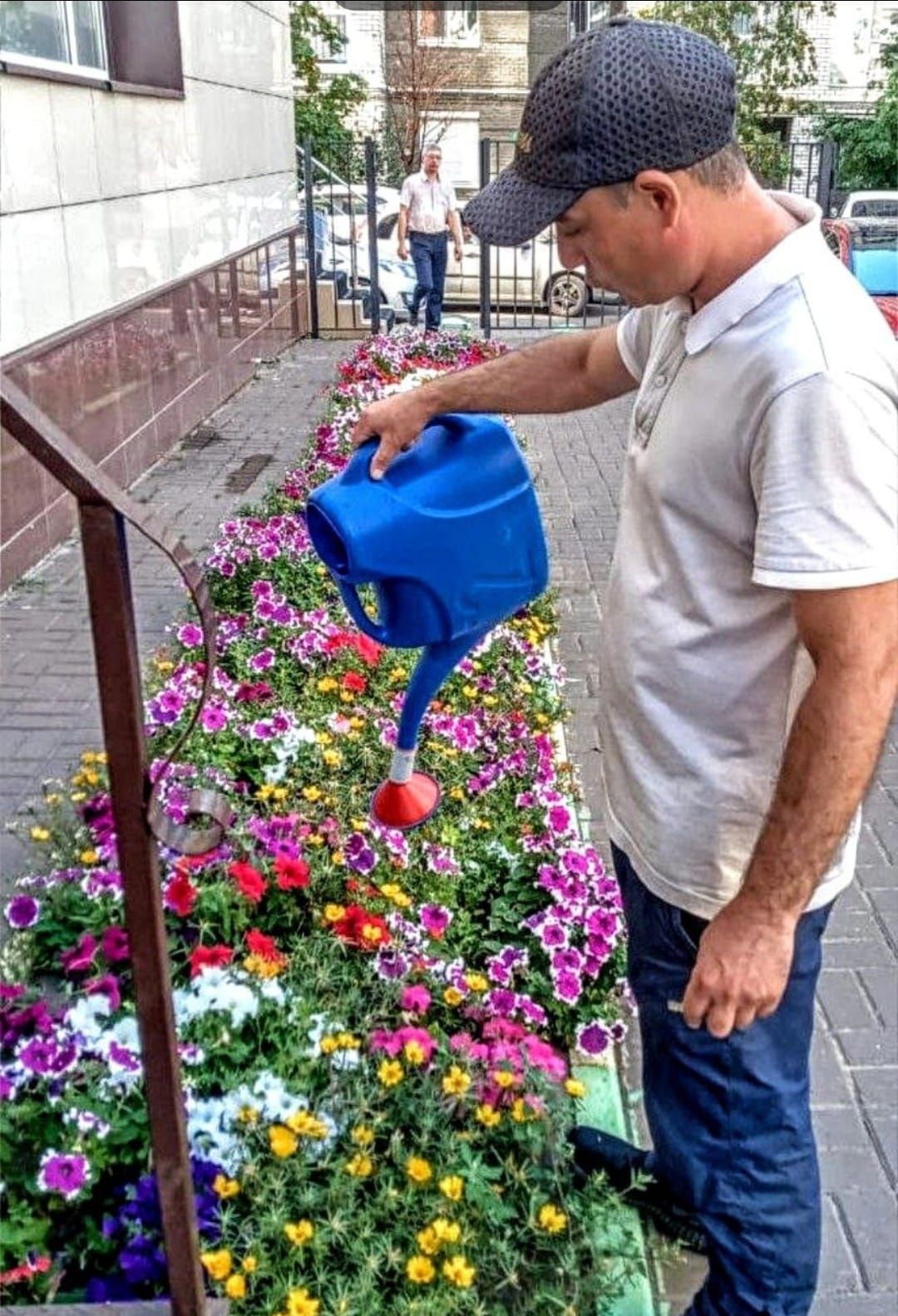 В жилом комплексе «Столичный» расцвела клумба цвета российского флага