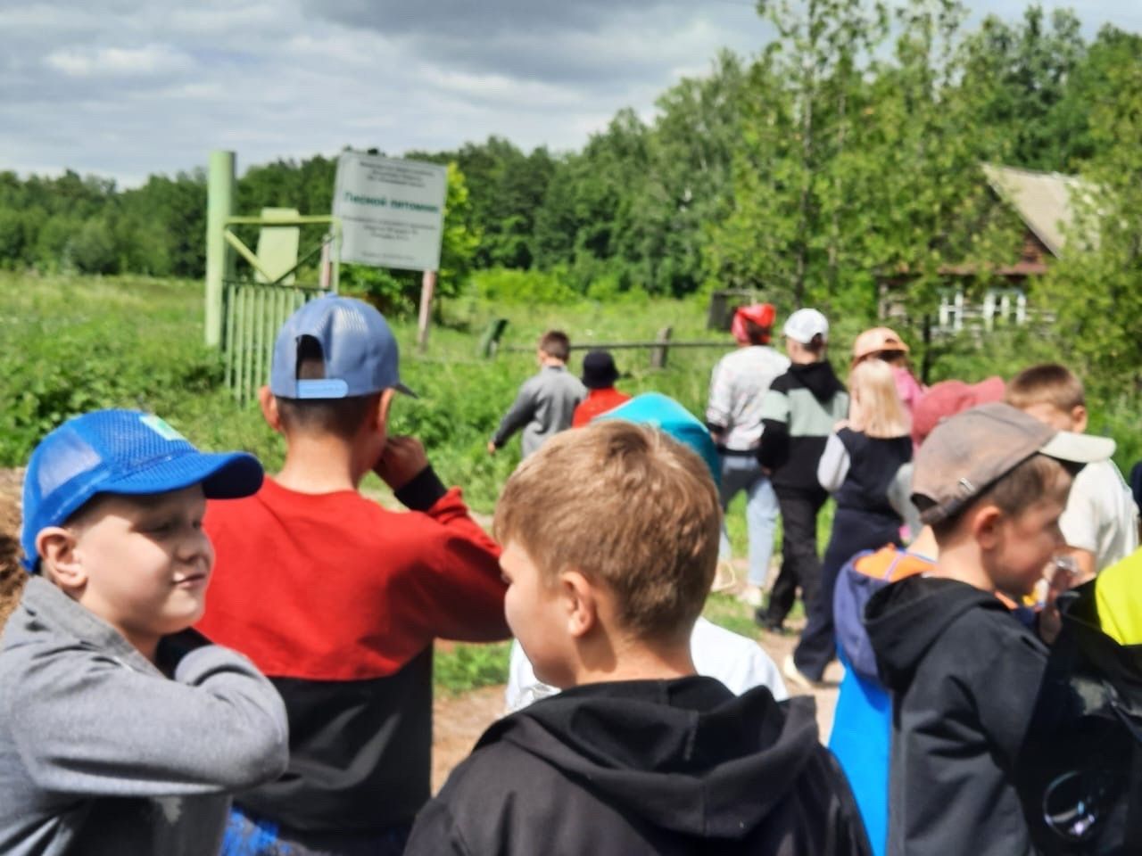 Ребята пришкольного лагеря «Рябинка» совершили экскурсию в Лесной питомник Лаишевского лесничества.