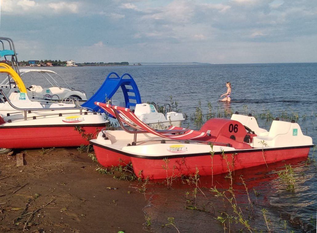 Подписчики бьют тревогу: пляжный берег в г.Лаишево заполонила ива