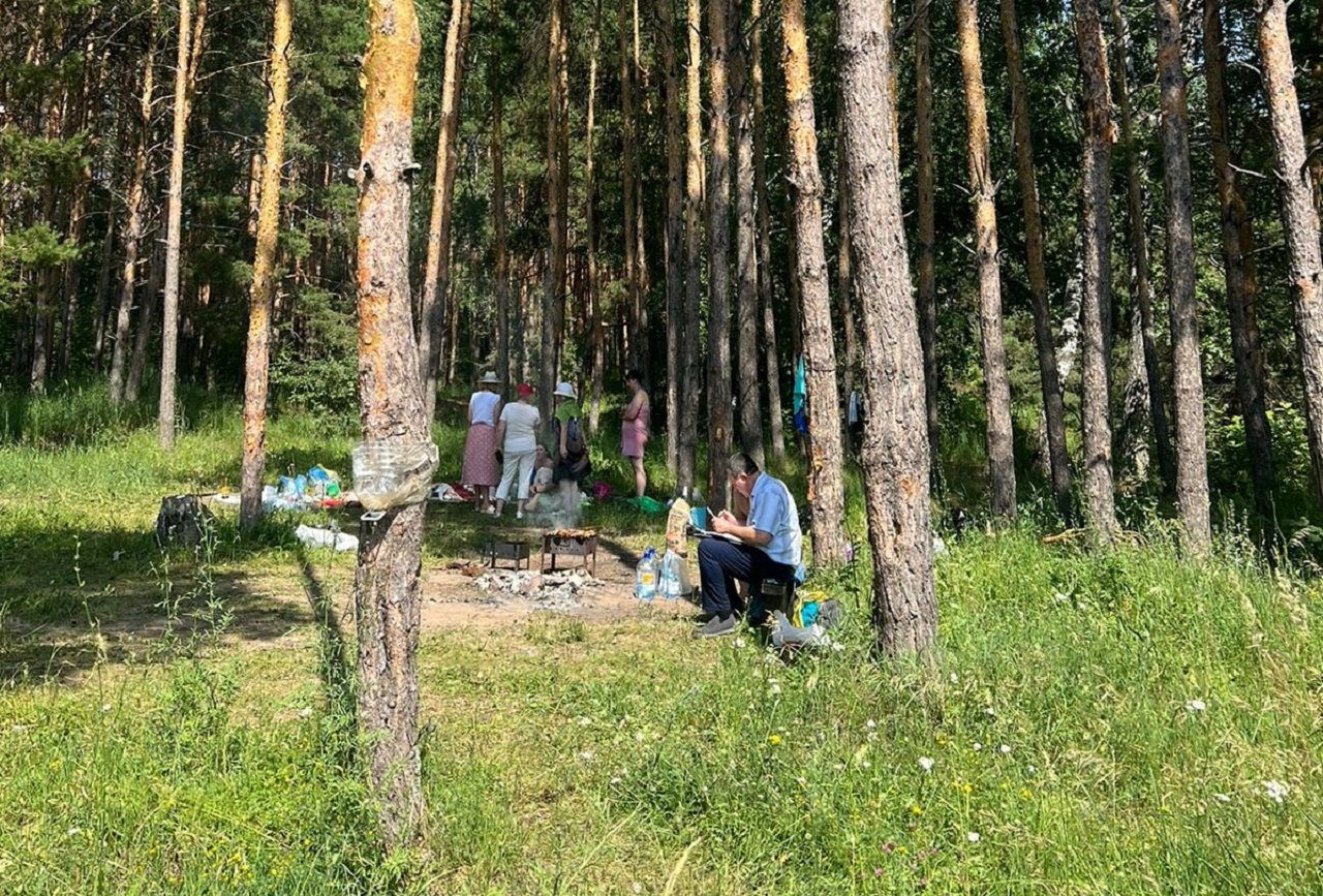 В Лаишевском районе ведется патрулирование лесов